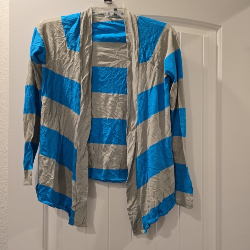 Express Blue and Gray Striped Long Sleeve Top
